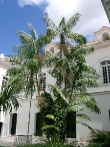 Interior do Museu do Estado do Pará, localizado em Belém 