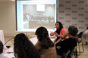 Luciana Palmeira, do Ibram, fez informe sobre museus no âmbito do Mercosul Cultural